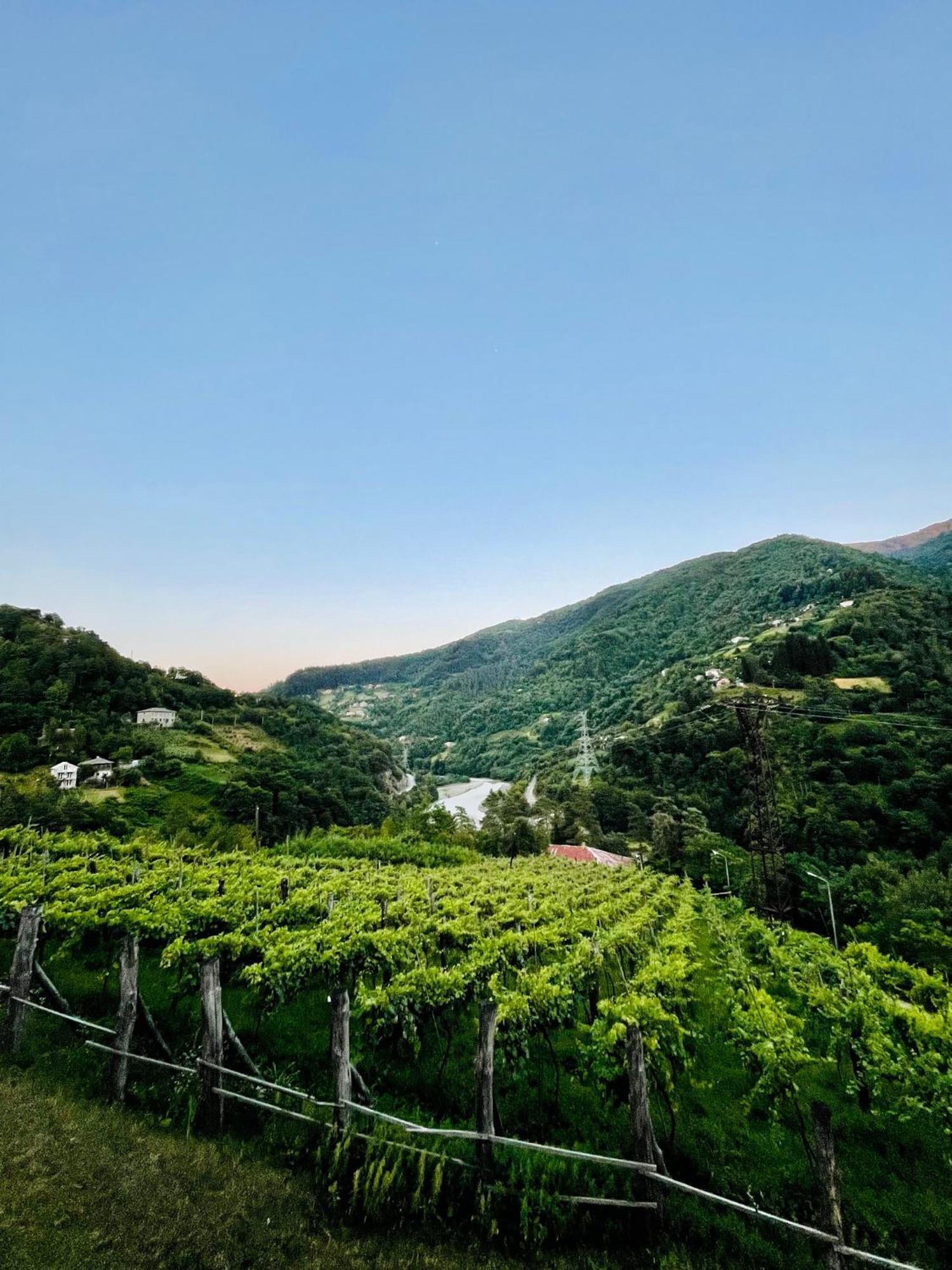 Hotel Chateau Iveri Varjanisi ภายนอก รูปภาพ