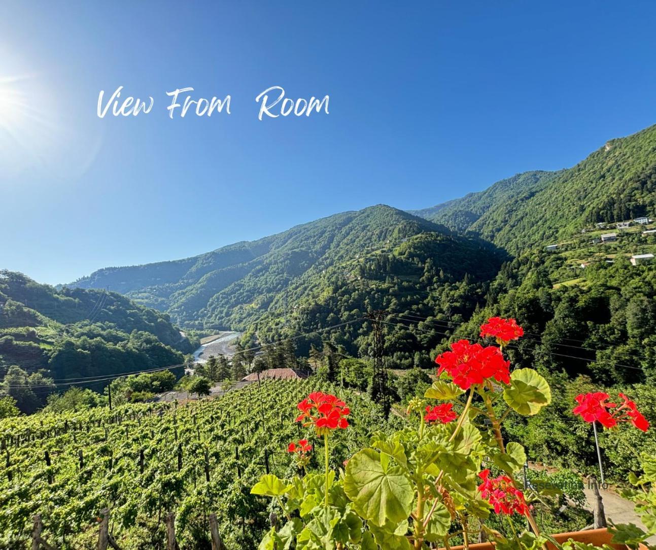 Hotel Chateau Iveri Varjanisi ภายนอก รูปภาพ